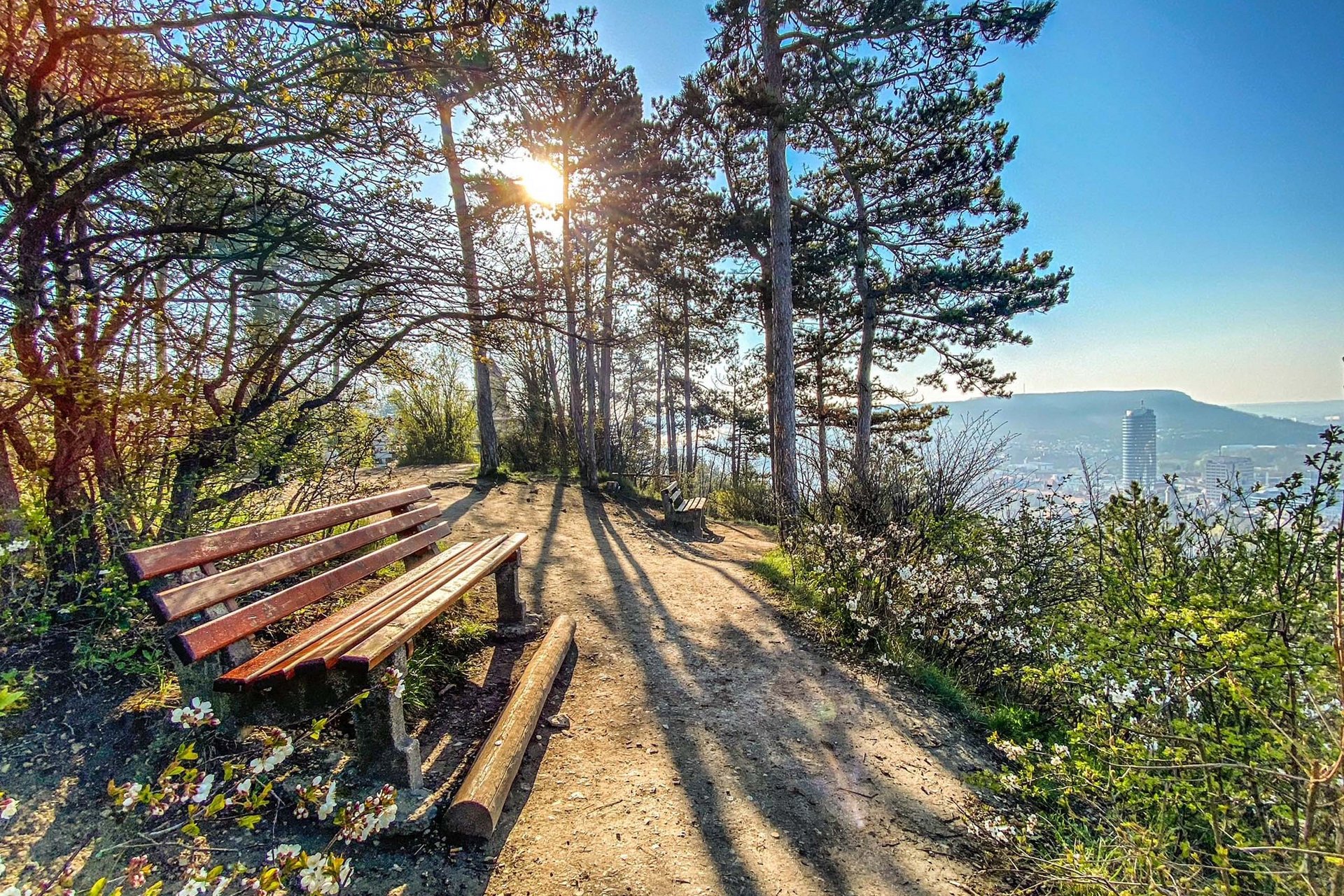 Ein Tennishotel in Deutschland Sonnenlicht durch Bäume auf Wanderweg mit Bänken und Blick auf Stadt