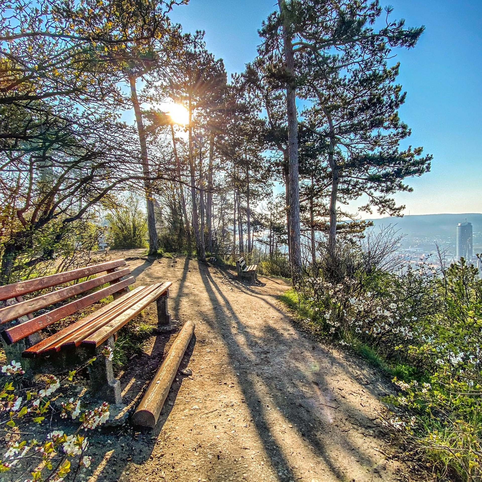 Sehenswürdigkeiten in und um Jena Sonnenlicht durch Bäume auf Wanderweg mit Bänken und Blick auf Stadt