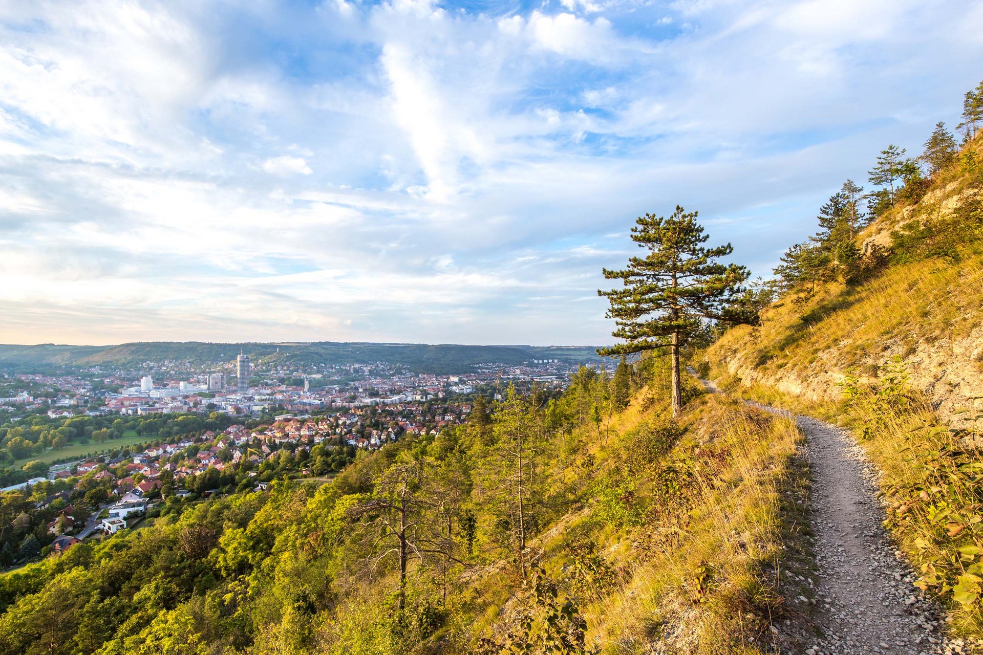 Sehenswürdigkeiten in und um Jena Wanderweg am Hang mit Blick auf Stadt und bewaldete Hügel im Hintergrund