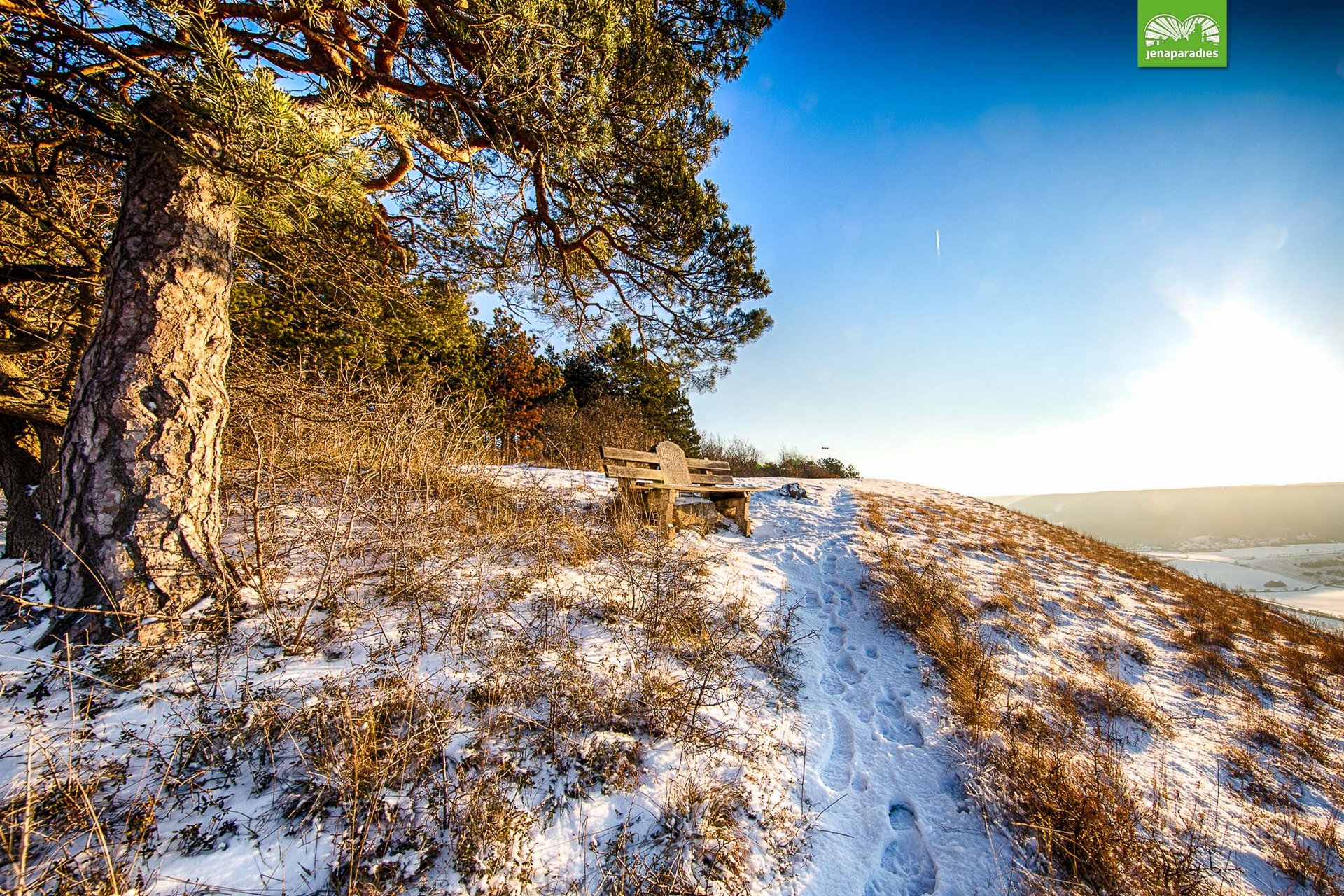 Sehenswürdigkeiten in und um Jena Schneebedeckter Hügel mit einem Baum, einer Bank und Fußspuren im Schnee