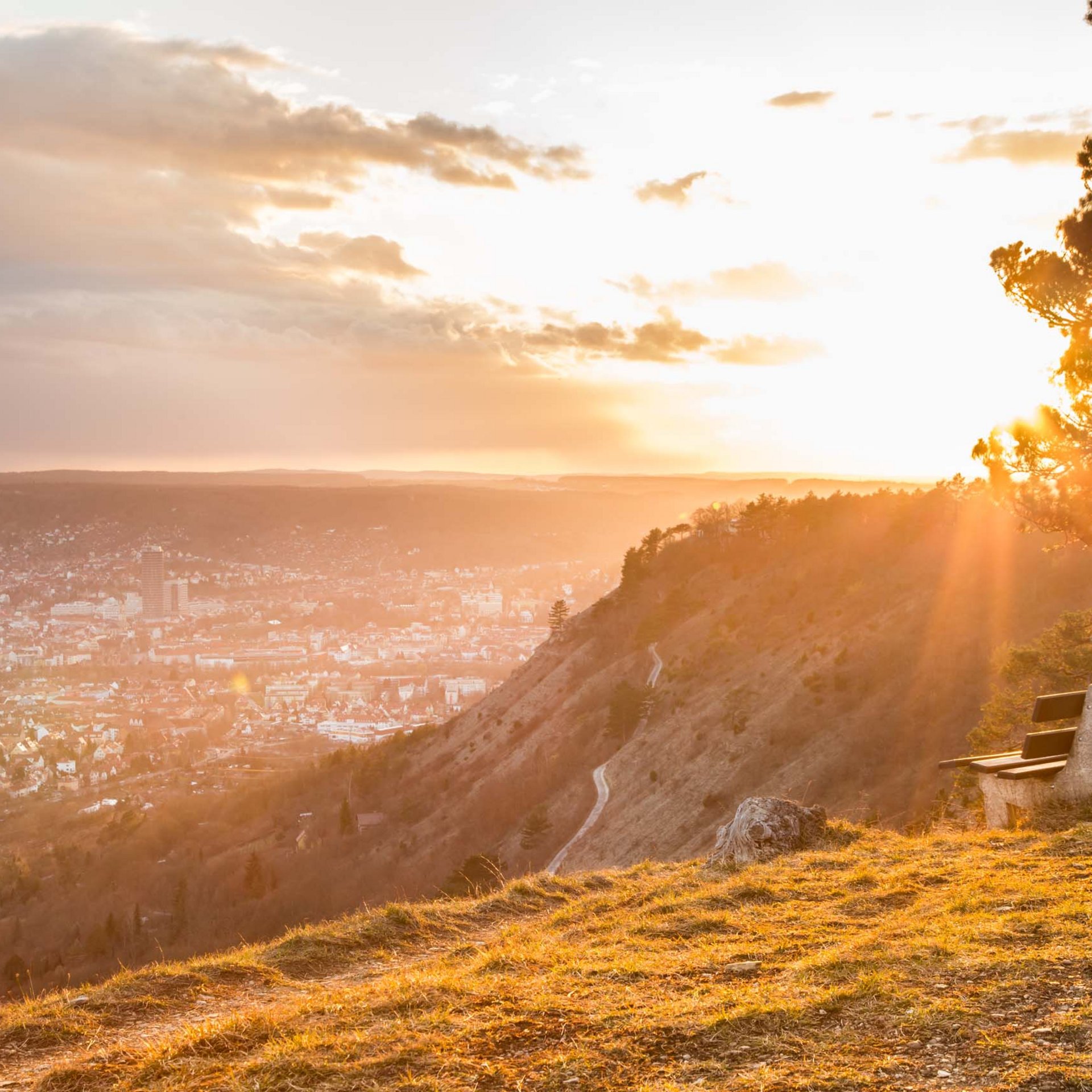 Sehenswürdigkeiten in und um Jena Bank mit Blick auf Stadt und Sonnenuntergang über Hügeln